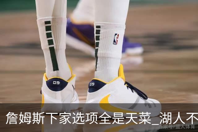 詹姆斯下家选项全是天菜 湖人不给的体面这些队能给